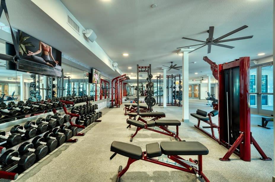 Cozysuites Phx Roro Gym, Pool, Pets, Parking! #9 Phoenix Buitenkant foto